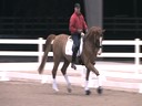 PRCS Professional Riders Clinic Symposium<br>
Hubertus Schmidt<br>
Riding & Lecturing<br>
Jim Brandon<br>
Equestrian Center<br>
Wellington Florida<br>
Duration: 39 minutes