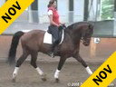 Penny Rockx<br>Riding & Lecturing<br>Olympic<br>KWPN<br> 12 yrs. old Gelding<br>by: Jazz<br>Essen Belgium<br>Duration: 48 minutes