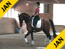 Christoph Hess<br>
Assisting<br>
Colleen O‚Connor<br>
VDL Navarone<br>
KWPN<br>
12 yrs. old Stallion<br>
by: Jus de Pomme<br>
Training: Intermediare 2<br>
Owner: Kathy Hickerson<br>
Majestic Gaits<br>
Duration: 60 minutes