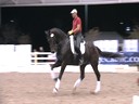 PRCS Professional Riders Clinic Symposium<br>
Hubertus Schmidt<br>
Interactive Session<br>
Steffen Peters<br>
Jim Brandon<br>
Equestrian Center<br>
Wellington Florida<br>
Duration: 33 minutes