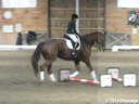 NEDA Fall Symposium<br>Ingrid Klimke<br>
Assisting<br>
Anabell Sattler<br>
Franconia<br>
5 yrs. Old Mare<br>
Hanoverian<br>
by: Fidertanz &<br>
Denise Goyea<br>
Jet'aime<br>
6 yrs. Old Oldenburg Mare<br>
Training: 2nd Level<br>
Duratio