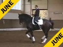 Hubertus Graf Zedtwitz<br>Riding & Lecturing<br>Robert<br>by: Roulletto<br>Oldenburg<br>9 yrs. old Gelding<br>Training: Prix St. George/I-1<br>Duration: 34 minutes