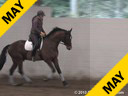 Day 1<br>
Jan Brink<br>
Assisting<br>
Sam Reid<br>
Bubbles<br>
KWPN<br>
by: Mezcal<br>
4 yrs. old Gelding<br>
Training: Training Level<br>
Owner: Nicky Hannam<br>
Duration: 45 minutes
