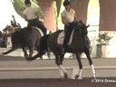 USDF Trainers Conference<br>
Day 1<br>
Steffen Peters<br>
Assisting<br>
Jessica Jo Tate<br>
Faberge<br>
Westfalen<br>
10 yrs. Old Gelding>br>
Owner: Elizabeth Guerlsco-Wolf<br>
Duration: 36 minutes
