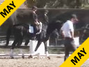 USDF APPROVED<br>
University Accreditation<br>
Steffen Peters<br>
Assisting<br> Alaska Culmore<br>
Don Gasparo<br> 3 yrs. old<br>
Hanoverian Gelding<br>
Training Level<br>
Duration 25 Minutes