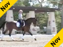 Jan Ebeling<br>Assisting<br>April Atwell<br>Pavarotti<br>11 yrs. Old KWPN<br>Training: PSG<br>Duration: 29 minutes