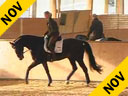 Nathalie Wittgenstein<br>Daily Working Sessions<br>Riding & Lecturing<br>Digby<br> by: Donnerhall<br>Danish Warmblood<br>9 yrs. old<br>Training: Grand Prix<br>Duration: 42 minutes