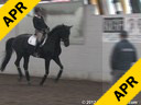 Wolfram Wittig<br>
Assisting<br>
Britgitte Wittig<br>
Biagiotti WW<br>
Oldenburg<br>
by: Breitling W<br>
11 yrs. old Mare<br>
Training: GP Level<br>
Owner: Wolfram Wittig<br>
Duration: 26 minutes
