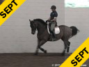 Arthur Kottas<br>Lecturing<br>Work in Hand<br>Casino Royal<br>Oldenburg<br>8 yrs. old Gelding<br>Training: 3rd Level<br>Owner: Kim Noon<br>Duration: 29 minutes