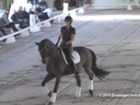 USDF<br>
West Coast Trainers Conference<br>
Stephen Clarke<br>
Assisting<br>
Jennifer Baumert<br>
Ramiro<br>
8 yrs. Old Gelding<br>
Danish Warmblood<br>
by: Don Romantic<br>
Training: PSG
Owner: Jennifer&Lisa Butterfield<br>
Duration: 27 mi