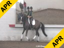 Day 2<br>
Jan Brink<br>
Assisting<br>
Courtenay Fraser<br>
Birkegardens Lukas<br>
Danish Warmblood<br>
by:Leendert<br>
11 yrs. old Gelding<br>
Training: PSG/I1 Level<br>
Owner: Courtenay Fraser<br>
Duration: 50 minutes
