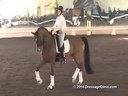 USDF Trainers Conference<br>
Day 1<br>
Steffen Peters<br>
Assisting<br>
Mette Larsen<br>
Deklan<br>
KWPN<br>
5 yrs. old Gelding<br>
by: Washington<br>
Duration: 38 minutes
