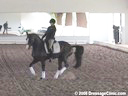 USDF Trainers Conference<br>USDF APPROVED<br>
University Accreditation<br>Day 1<br>Henk van Bergen<br>Assisting<br>Melissa Allen<br>Daina<br>12 yrs. old Mare<br>Hanovarian<br>Owner: Melissa Allen<br>Duration: 58 minutes