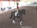 USDF Trainers Conference<br>USDF APPROVED<br>University Accreditation<br>Day 1<br>Henk van Bergen<br>Assisting<br>Shawna Harding<br>Rigo<br>9 yrs. old Gelding<br>Danish Warmblood<br>Owner: Shawna Harding<br>Duration: 60 minutes