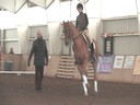 NEDA Fall Symposium<br>Day 3<br>Hubertus Schmidt<br>Riding & Lecturing<br>Donnertanz<br>11 yrs. old<br>Hanoverian Gelding<br>Owner: Ellen Sullivan<br>Training: Prix St. George<br>Duration: 32 minutes