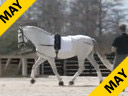 Bo Jena<br>Assisting<br>Betsy Steiner<br>Sentimiento<br>8 yr. old PRE Stallion<br>Owner: Tamara Gerber<br>Training: Intermediaire 2<br>Duration: 42 minutes