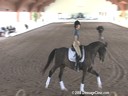 USDF Trainers Conference<br>USDF APPROVED<br>
University Accreditation<br>Day 1<br>Henk van Bergen<br>Assisting<br>Sharon McCusker<br>Wrigley<br>7 yrs. old Gelding<br>KWPN by: Son 
De Niro<br>Owner: Sharon McCusker<br>Duration: 44 minutes