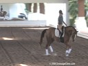 USDF Trainers Conference<br>USDF APPROVED<br>
University Accreditation<br>Day 1<br>Henk van Bergen<br>Assisting<br>Mary Ann Grant<br>Weltregentrin<br>5 yrs. old Mare<br>Hanovarian<br>Owner: Grant Farms Inc.<br>Duration: 49 minutes