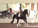 USDF Trainers Conference<br>
Day 2<br>
Steffen Peters<br>
Riding & Lecturing &<br>
Assisting<br>
Noel Williams<br>
Sir Velo<br>
Westphalen<br>
7 yrs. old Gelding<br>
by: Sandro Bedo<br>
Owner: Melissa Mulchahey<br>
Duration:48