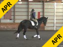 Karen Pavicic<br>
Assisting<br>
Rebecca Cowden<br>
Azeite do Vouga<br>
Lusitano<br>
10 yrs. old<br> 
Training: GP<br>
Duration: 42 minutes
