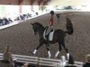 USDF Trainers Conference<br>USDF APPROVED<br>
University Accreditation<br>Day 2<br>
Henk van Bergen<br>
Assisting<br>
Shawna Harding<br>
Rigo<br>
9 yrs. old Gelding<br>
Danish Warmblood<br>
Owner: Shawna Harding<br>Duration: 49 minutes