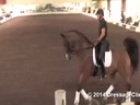 USDF Trainers Conference<br>
Day 2<br>
Steffen Peters<br>
Assisting<br>
Olivian LaGoy-Weltz<br>
Rassings Lonoir<br>
9 yrs. old Gelding<br>
by: De Noir<br>
Duration:  43 minutes
