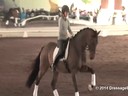 USDF Trainers Conference<br>
Day 2<br>
Steffen Peters<br>
Riding & Lecturing &<br>
Assisting<br>
Mette Larsen<br>
Deklan<br>
KWPN<br>
5 yrs. old Gelding<br>
by: Washington<br>
Duration: 58 minutes
