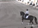 USDF West Coast Trainers Conference<br>
Stephen Clarke<br>
Assisting<br>
Jennifer Baumert<br>
Ramiro<br>
8 yrs. Old Gelding<br>
Danish Warmblood<br>
by: Don Romantic<br>
Owner: Jennifer&Lisa Butterfield<br>
Duration: 23 minutes
