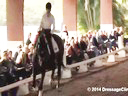 USDF Trainers Conference<br>
Day 2<br>
Steffen Peters<br>
Assisting<br>
Jessica Jo Tate<br>
Faberge<br>
Westfalen<br>
10 yrs. old Gelding<br>
Owner: Elizabeth Guerlsco-Wolf<br>
Duration: 29 minutes
