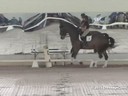 USDF West Coast Trainers Conference<br>
Stephen Clarke<br>
Assisting<br>
Christina Vinios<br>
Donna Carina 6<br>
9 yrs. Old Mare<br>
Oldenburg<br>
by: Don Primero<br>
Owner:  Christina Vinios<br>
Duration: 32 minutes
