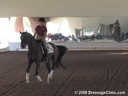 USDF Trainers Conference<br>Day 2<br>Henk van Bergen<br>Assisting<br>Sharon McCusker<br>Wrigley<br>7 yrs. old Gelding<br>KWPN by Son 
De Niro<br>Owner: Sharon McCusker<br>Duration: 56 minutes