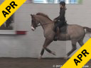 Day 2<br>
Jan Brink<br>
Assisting<br>
Jeremy Steinberg<br>
Thomas<br>
KWPN<br>
by: Metal<br>
10 yrs. old Gelding<br>
Training: PSG<br>
Owner: Sandi Fortun<br>
Duration: 40 minutes
