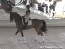 USDF<br>
West Coast Trainers Conference<br>
Stephen Clarke<br>
Assisting<br>
Noel Williams<br>
Sir Velo<br>
Westfalen<br>
8 yrs. Old Gelding<br>
by: Sandro Bedo<br>
Owner: Melissa Mulchahey<br>
Duration: 27 minutes
