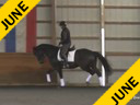IDCTA Illinios Dressage & Combined Training Association<br>
Lilo Fore<br>
Assisting<br>
Samantha Melchiori<br>
Ali Jandro<br>
Training: 1st  Level<br>
Duration: 44 minutes
