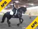 Jan Brink<br>
Assisting<br>
Jim Koford<br>
Don Principe<br>
Hanoverian<br>
9 yrs. old Stallion<br>
Training: PSG/I-1
Duration: 38 minutes
