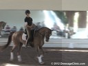 USDF Trainers Conference<br>USDF APPROVED<br>
University Accreditation<br>Day 2<br>
Christoph Hess<br>
Assisting<br>
Jennifer Baumert<br>
DeWert<br>
Hanoverian<br>
by: Don Frederico<br>
9 yrs. old Gelding<br> 
Training: PSG<br>
Duration 57 minut