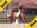 USDF APPROVED<br>University Accreditation<br>Available on DVD No.13<br>Day 1<br>
George Williams<br>
Riding & Lecturing<br>
Favore<br>
Westfalen Gelding<br>
7 yrs. old<br>
Training: Second Level<br>
Duration: 36 minutes