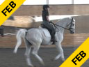 Markus Gribbe<br>
Assisting<br>
Tania Seymour<br>
Fidertanz<br>
Rheinlander<br>
by: Fidemark 1<br>
9 yrs. old Stallion<br>
Training: PSG<br>
Owner: Bockmann Pherde<br>
Duration: 15 minutes
