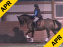 Jeremy Steinberg<br>
Assisting<br>
Jill Andersen<br>
Sophie<br>
Hanoverian<br>
11 yrs. Old Mare<br>
Training: 3rd Level<br>
Duration: 36 minutes
