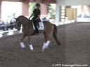 USDF Trainers Conference<br>USDF APPROVED<br>
University Accreditation<br>Day 2<br>
Christoph Hess<br>
Assisting<br>
Jennifer Baumert<br>
Don Principe<br>
Hanoverian<br>
by; Donnerhall<br>
12 yrs. old Stallion<br>
Training: Confirmed GP<br>
Dura