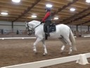 Day 2<br>
Felicitas von Neumann<br>
Riding & Lecturing<br>
Arie<br>
Arabian<br>
14 yrs. Old<br>
Training: 1st Level<br>
Duration: 21 minutes