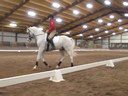 Day 1<br>
Felicitas von Neumann<br>
Riding & Lecturing<br>
Sonny<br>
Dutch Warmblood<br>
14 yrs. Old<br>
Training: 3rd Level<br>
Duration: 33 minutes
