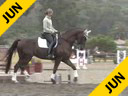 Shannon Peters<br>
Riding & Lecturing<br>
Flor De Selva<br>
(owned by Laurie Browning<br>
and Shannon Peters)<br>
Westfalen Gelding<br>
8 yrs. old<br>
Training Prix St. George<br>
Duration: 29 minutes

