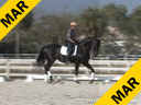 Conrad Schumacher<br>
Assisting<br>
Bill Warren<br>
Romantic<br>
by: Rodiamant<br>
Oldenburg<br>
12 yrs. old Gelding<br>
Training: GP<br>
Owner: Team Romantic LLC<br>
Duration: 26 minutes
