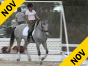 Anja Plonzke<br>
Riding & Lecturing<br>
Le Mont D'or<br>
12 yrs. Gelding<br>
Training: GP Level<br>
Owner: Anja Plonzke<br>
Duration: 34 minutes
