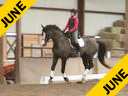 CDS Annual Symposium<br>
Christine Traurig<br>
Assisting<br>
Anna Wood<br>
Hotshot AF<br>
4 yrs. old Gelding<br>
Oldenburg<br>
by: Hotline out of Spielberg Mare<br>
Duration: 46 minutes
