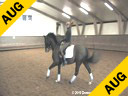 Rien van der Schaft<br>
Assisting<br>
Maricke van der Putten<br>
Remiro<br>
NRPS Dutch<br>
9 yrs. old Gelding<br>
Training:PSG<br>
Duration: 37 minutes