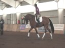 NEDA Fall Symposium<br>Day 1<br>Hubertus Schmidt<br>Assisting<br>Keith Angstadt<br>Donnertanz<br>11 yrs. old Gelding<br>Hanoverian <br>Owner: Ellen Sullivan<br>Training: Prix St. George<br>Duration: 42 minutes