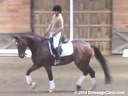 NEDA Fall Symposium<br>Ingrid Klimke<br>
Assisting<br>
Heidi Conlon<br>
Donnazauber<br>
13 yrs. Old Gelding<br>
Training: GP<br>
Duration: 22 minutes

