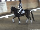 Dr. Hilary Clayton<br>
Part 1 of a 3 Part Series <br>
A Lecture and Analysis<br>
Conditioning the Dressage Horse<br>
Duration: 60 minutes